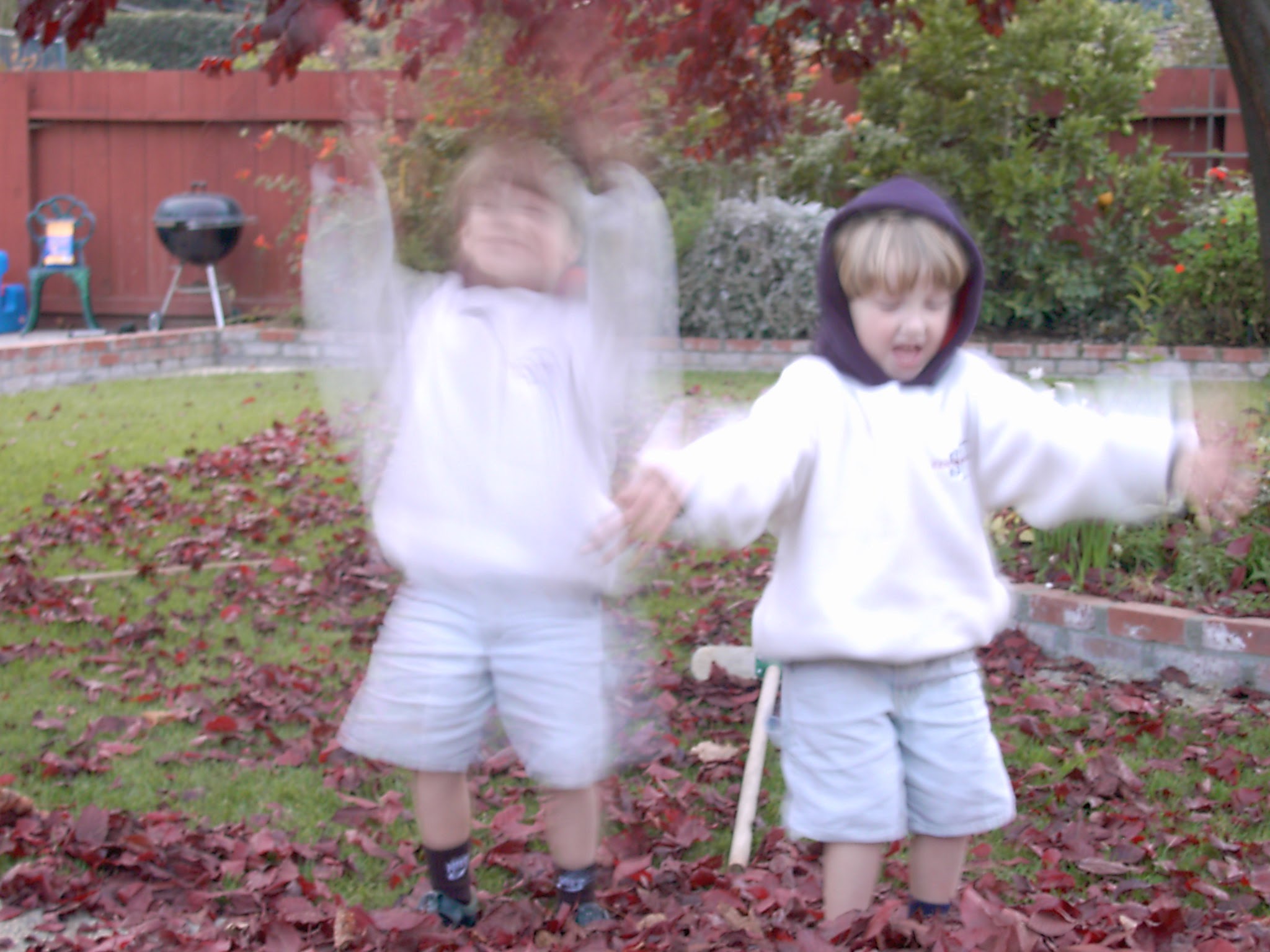Chris and his brother throwing leaves in the backyard